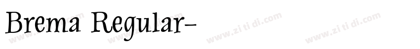 Brema Regular字体转换